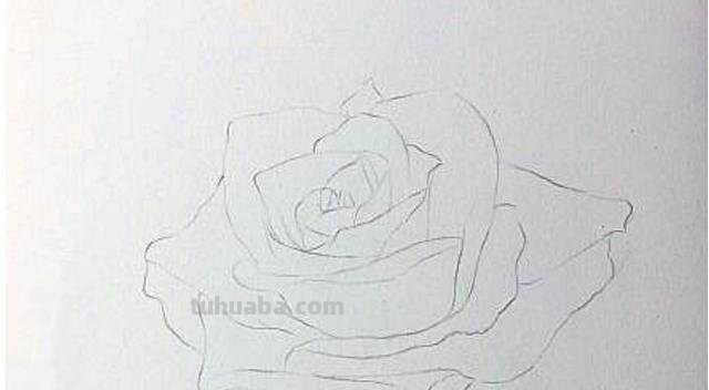 鲜花怎么画 彩铅色 如何用彩铅画花? 鲜花怎么画 彩铅色 如何用彩铅画花?