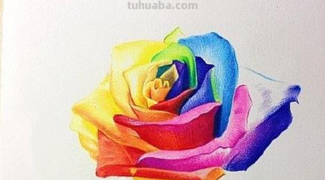 鲜花怎么画 彩铅色 如何用彩铅画花? 鲜花怎么画 彩铅色 如何用彩铅画花?