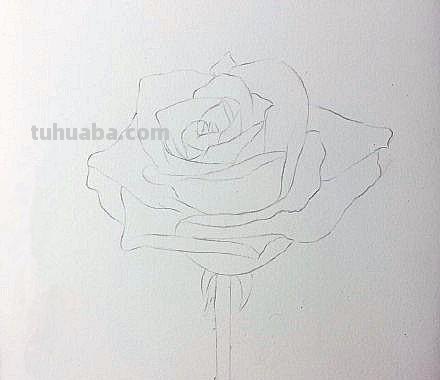 鲜花怎么画 彩铅色 如何用彩铅画花? 鲜花怎么画 彩铅色 如何用彩铅画花?