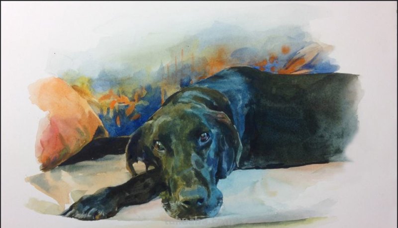 美国艺术家斯坦米勒人物、风景作品选（附水彩画技法学习）