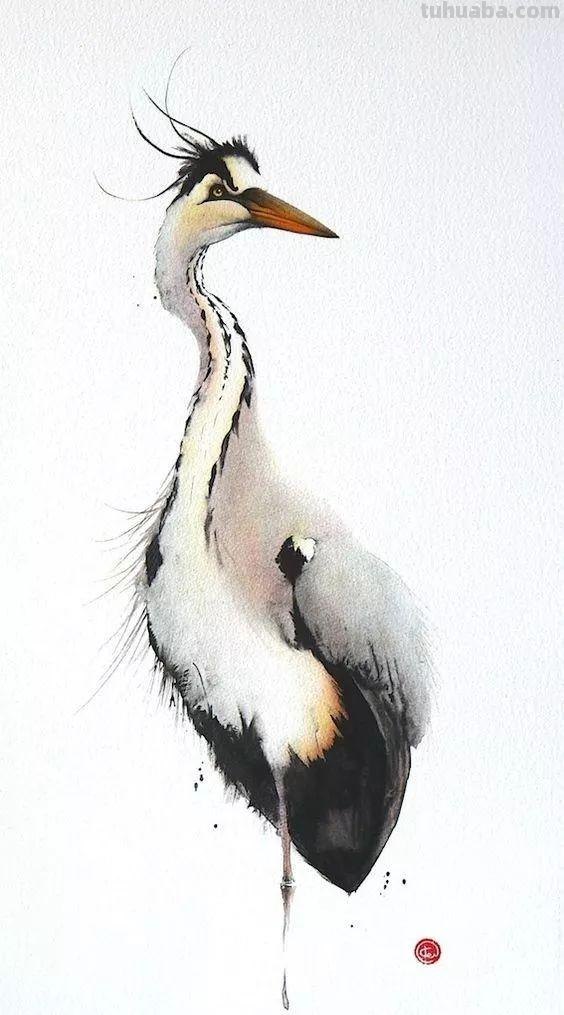 Artist Karl Martens 的30幅鸟类水彩插画~空灵的绘画风格