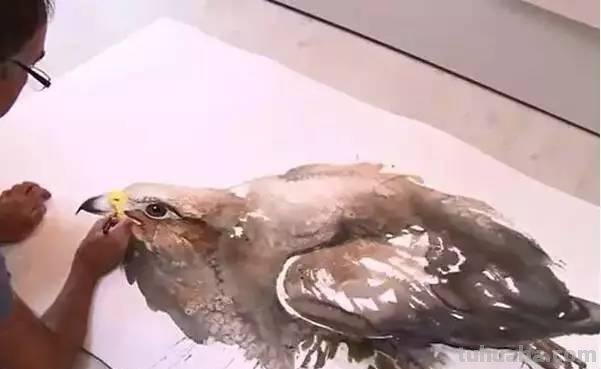 Artist Karl Martens 的30幅鸟类水彩插画~空灵的绘画风格