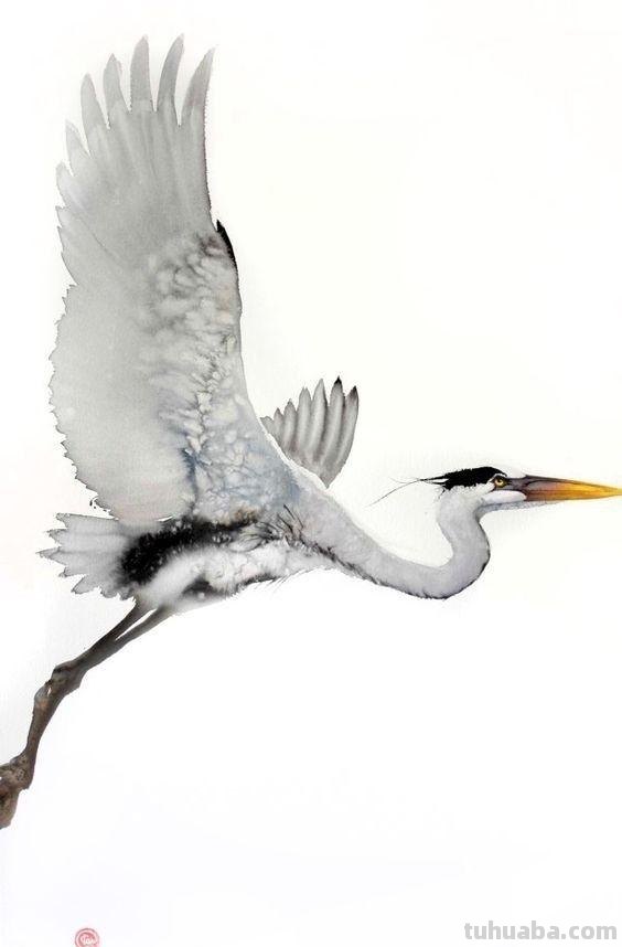 Artist Karl Martens 的30幅鸟类水彩插画~空灵的绘画风格