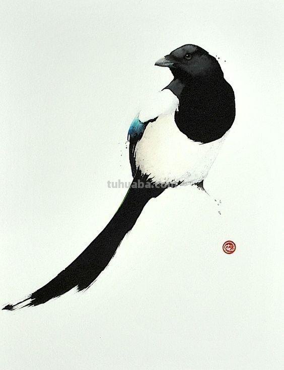 Artist Karl Martens 的30幅鸟类水彩插画~空灵的绘画风格