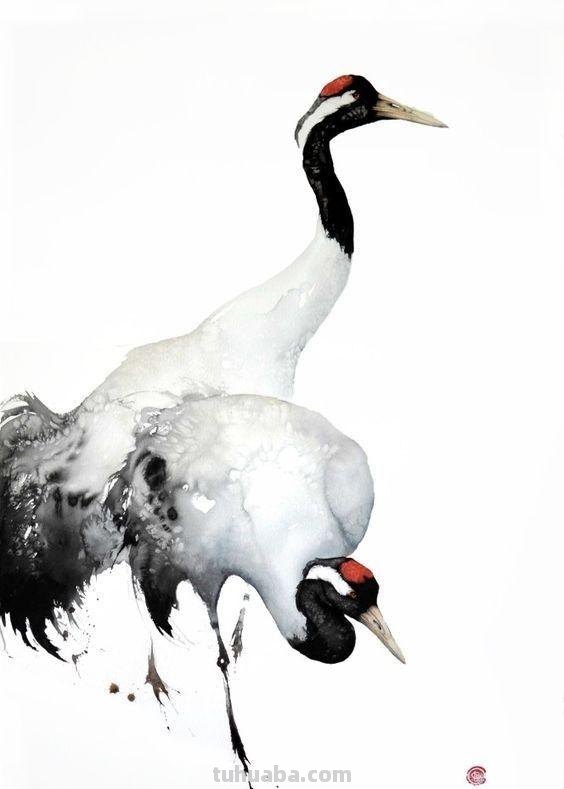 Artist Karl Martens 的30幅鸟类水彩插画~空灵的绘画风格