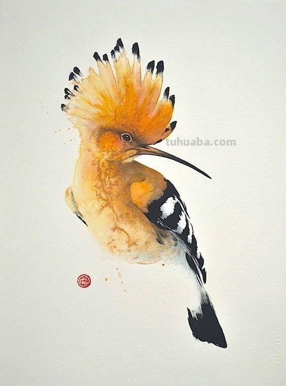 Artist Karl Martens 的30幅鸟类水彩插画~空灵的绘画风格