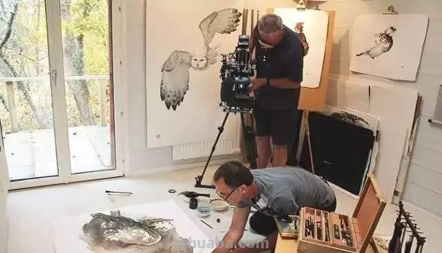 Artist Karl Martens 的30幅鸟类水彩插画~空灵的绘画风格