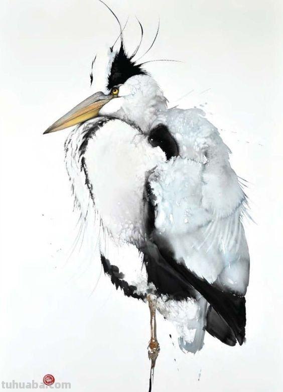 Artist Karl Martens 的30幅鸟类水彩插画~空灵的绘画风格