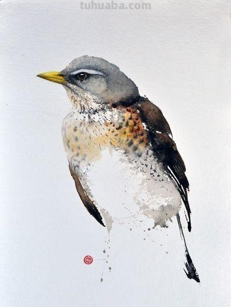 Artist Karl Martens 的30幅鸟类水彩插画~空灵的绘画风格