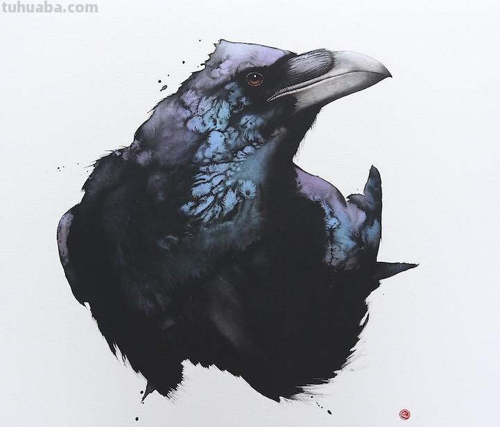 Artist Karl Martens 的30幅鸟类水彩插画~空灵的绘画风格