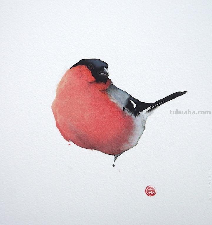 Artist Karl Martens 的30幅鸟类水彩插画~空灵的绘画风格