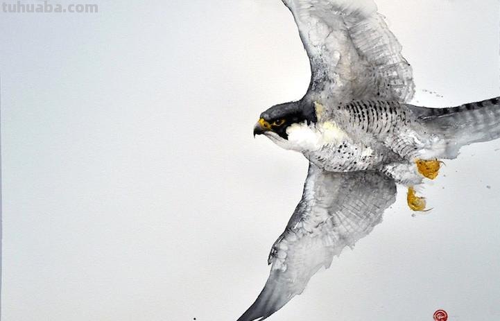 Artist Karl Martens 的30幅鸟类水彩插画~空灵的绘画风格