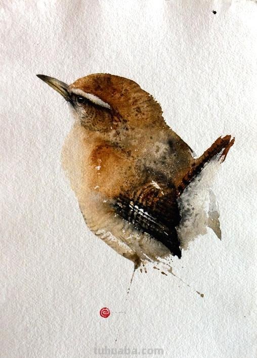 Artist Karl Martens 的30幅鸟类水彩插画~空灵的绘画风格