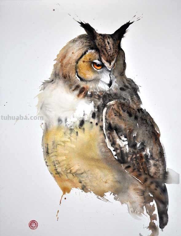 Artist Karl Martens 的30幅鸟类水彩插画~空灵的绘画风格