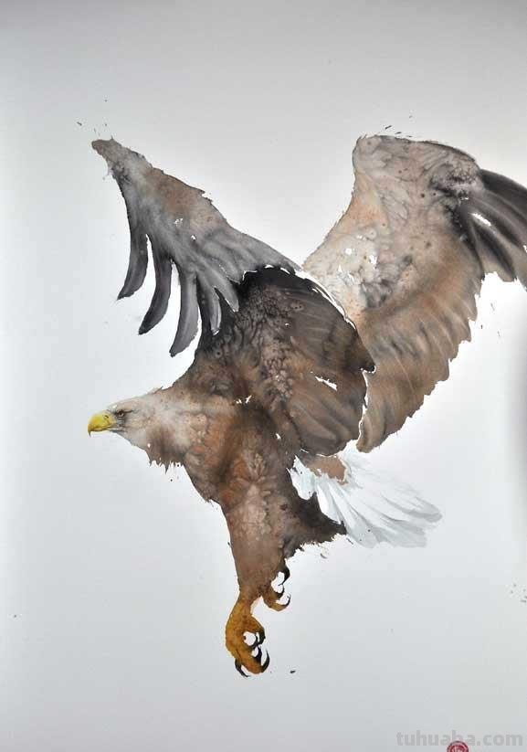 Artist Karl Martens 的30幅鸟类水彩插画~空灵的绘画风格