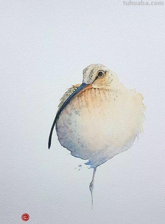 Artist Karl Martens 的30幅鸟类水彩插画~空灵的绘画风格