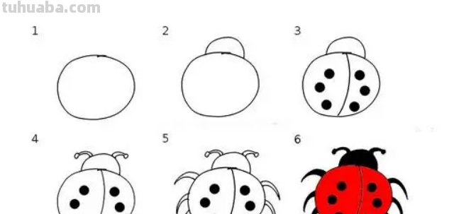 七星瓢虫简笔画的步骤 七星瓢虫简笔画的步骤图片