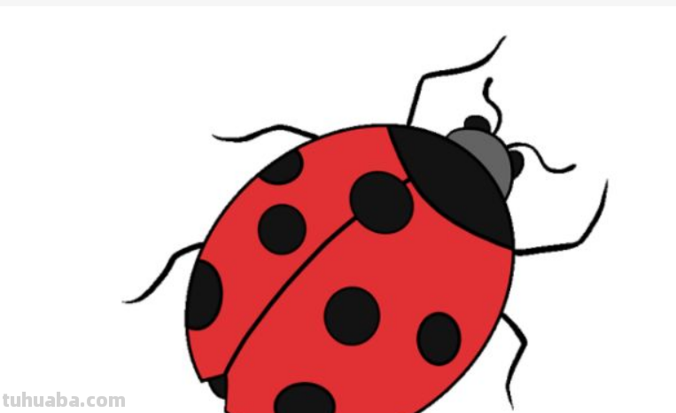 七星瓢虫的画法