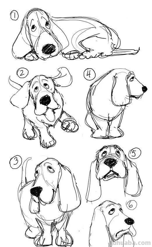 老王整理了一些动物速写资料，拿去临摹