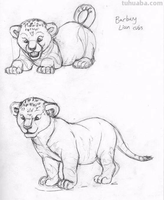 老王整理了一些动物速写资料，拿去临摹