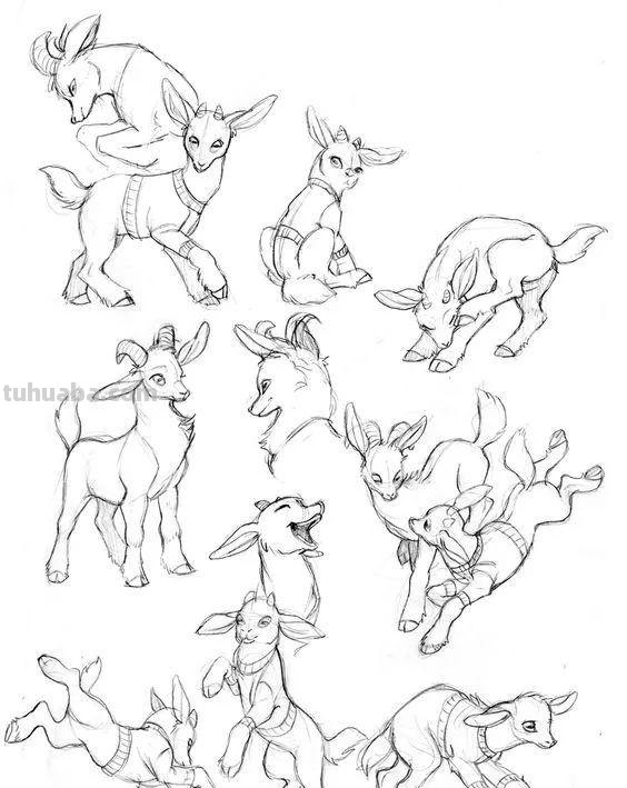 老王整理了一些动物速写资料，拿去临摹