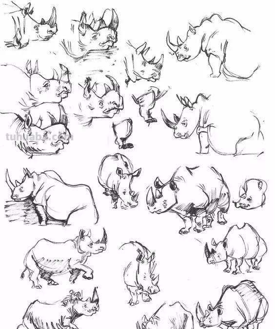 老王整理了一些动物速写资料，拿去临摹