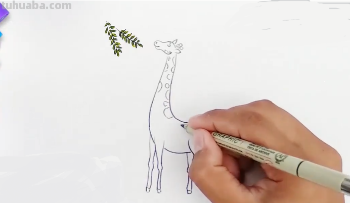 长颈鹿该怎么画