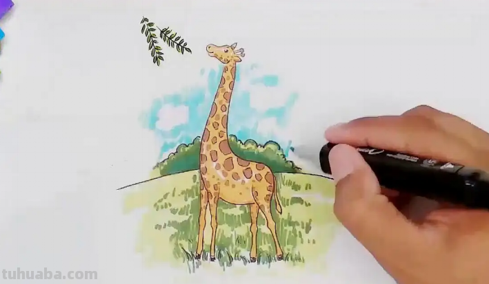 长颈鹿该怎么画