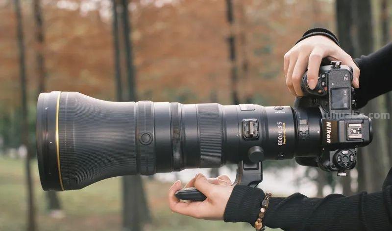 聚焦生态、航空摄影！轻量高性能镜头尼克尔 Z 800mm f/6.3 VR S评测
