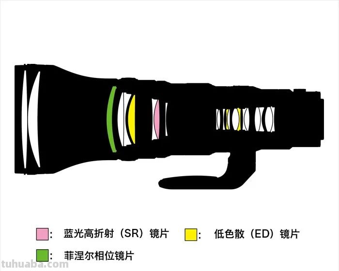 聚焦生态、航空摄影！轻量高性能镜头尼克尔 Z 800mm f/6.3 VR S评测