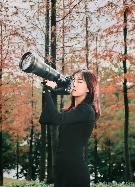 聚焦生态、航空摄影！轻量高性能镜头尼克尔 Z 800mm f/6.3 VR S评测