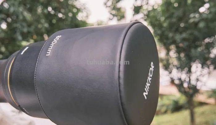聚焦生态、航空摄影！轻量高性能镜头尼克尔 Z 800mm f/6.3 VR S评测