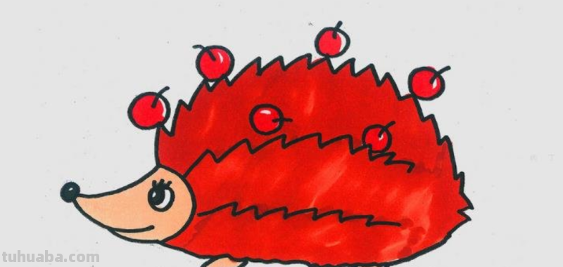 刺猬怎么画