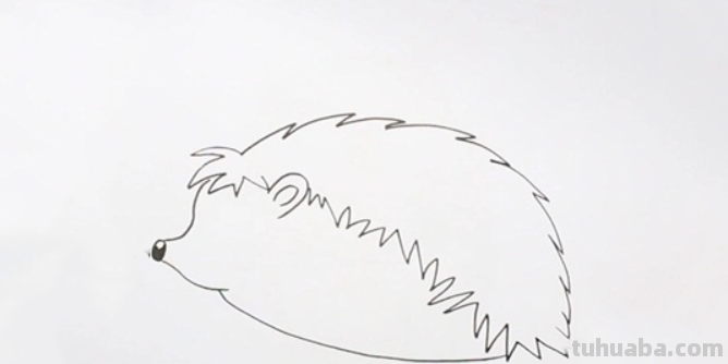 刺猬怎么画