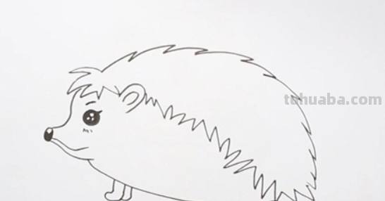 刺猬怎么画