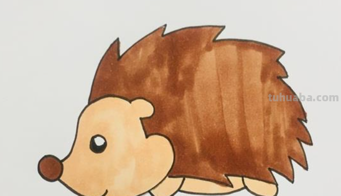 小刺猬怎么画简单又漂亮又可爱