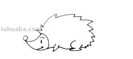 小刺猬怎么画简单又漂亮又可爱