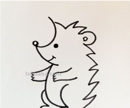 刺猬怎么画?