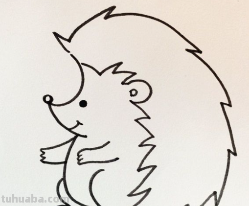 刺猬怎么画?