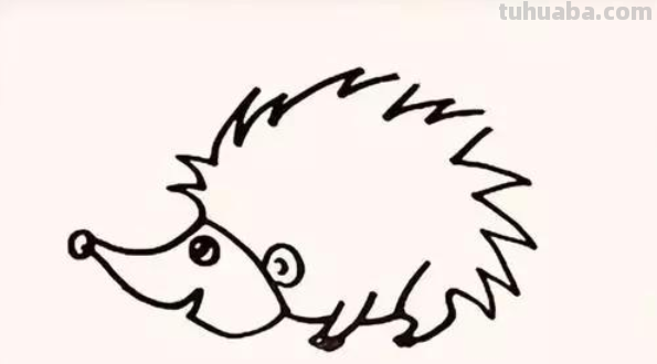 刺猬怎么画?