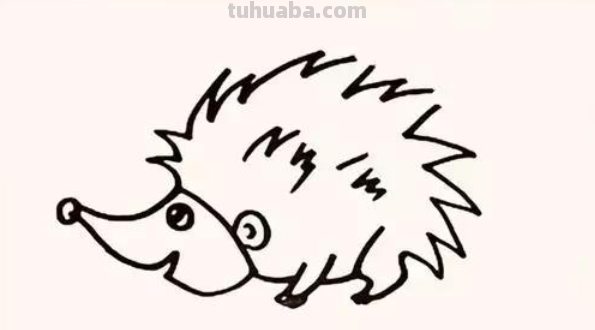 刺猬怎么画?