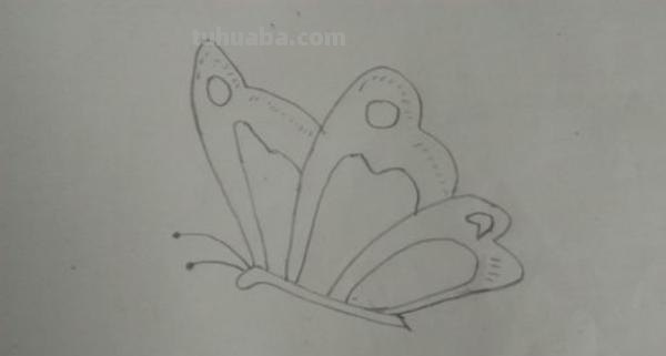 蝴蝶怎么画彩铅图案 蝴蝶铅笔画? 蝴蝶怎么画彩铅图案 蝴蝶铅笔画?