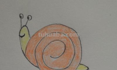 蜗牛怎么画简笔画 蜗牛简单画法? 蜗牛怎么画简笔画 蜗牛简单画法?