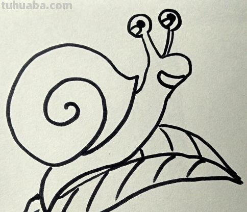 蜗牛怎么画简笔画 蜗牛简单画法? 蜗牛怎么画简笔画 蜗牛简单画法?