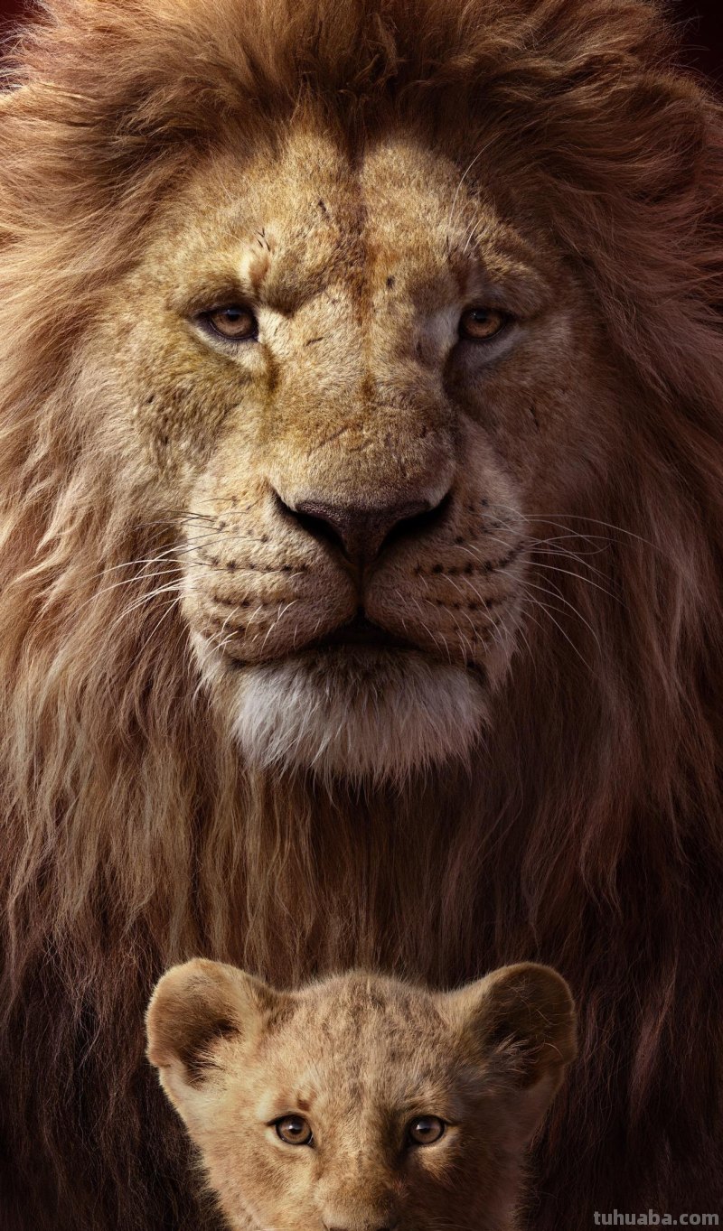 23张经典动漫壁纸