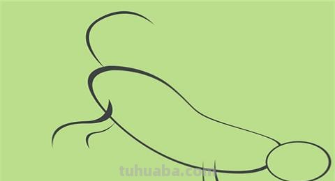 怎么画老虎思维导图 一招学会画虎？