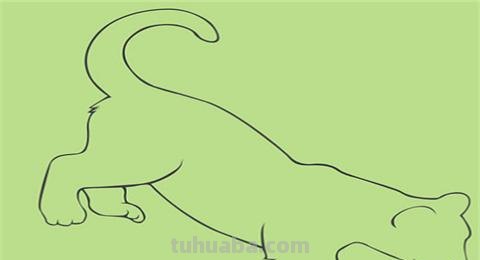 怎么画老虎思维导图 一招学会画虎? 怎么画老虎思维导图 一招学会画虎?
