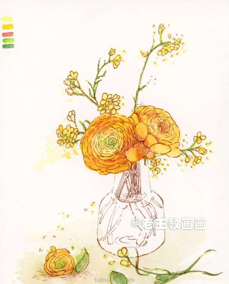 不知道花的名字，但画出来很漂亮