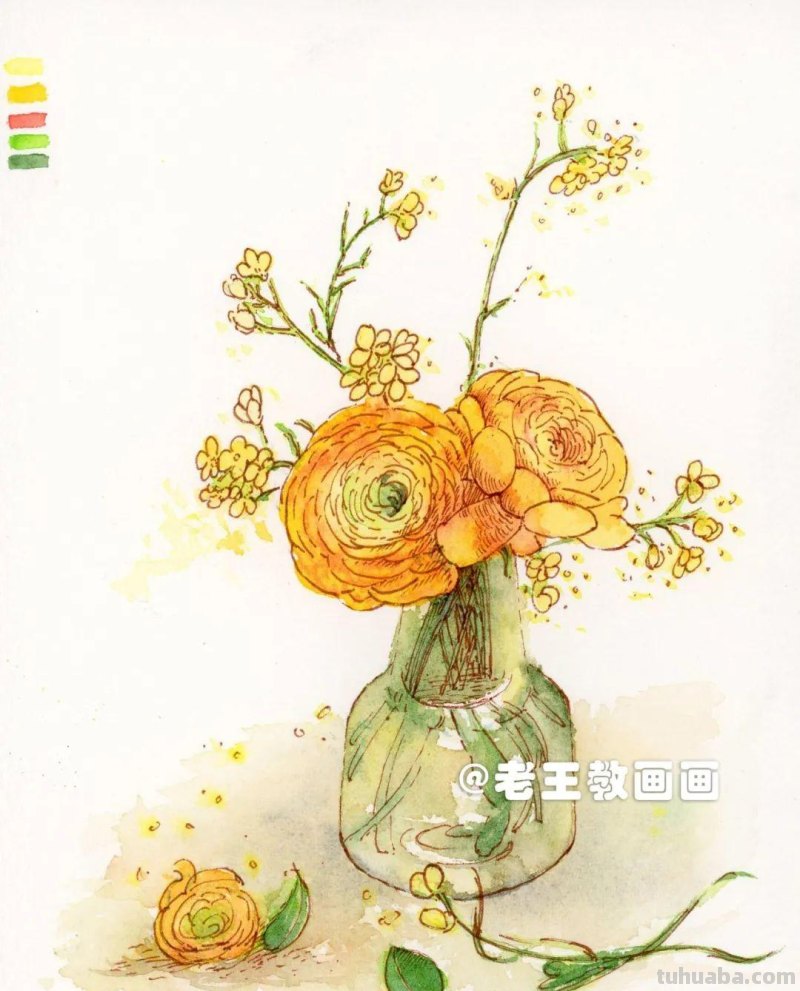 不知道花的名字，但画出来很漂亮