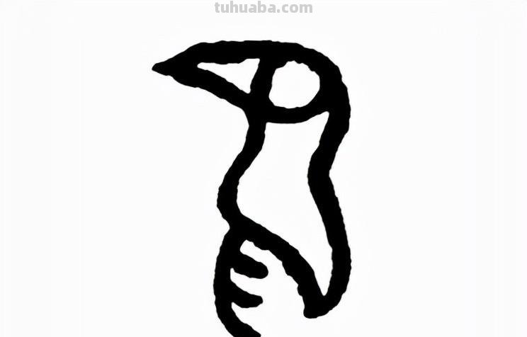鸟：汉字的起源与演变（小学一年级语文生字 第34集）